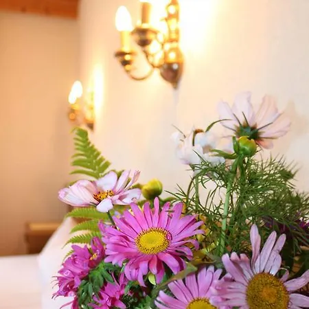 Pension Aloisl'S Harmonie Nauders Kamer foto